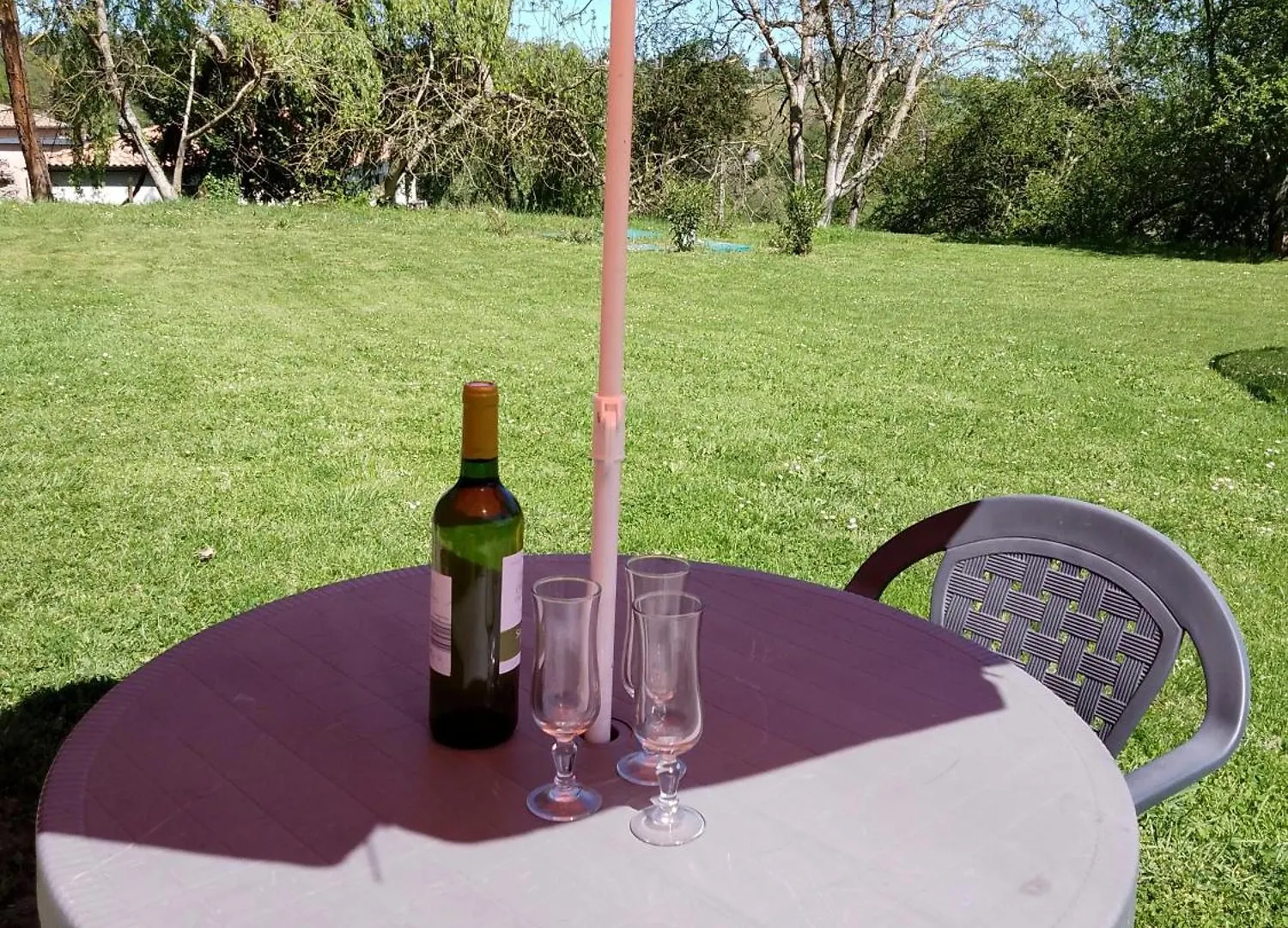 Pyrenees Vue Gite - Vues Fantastique, Parking Gratuit Sur Place & Piscine Saint-Gaudens  Apartment